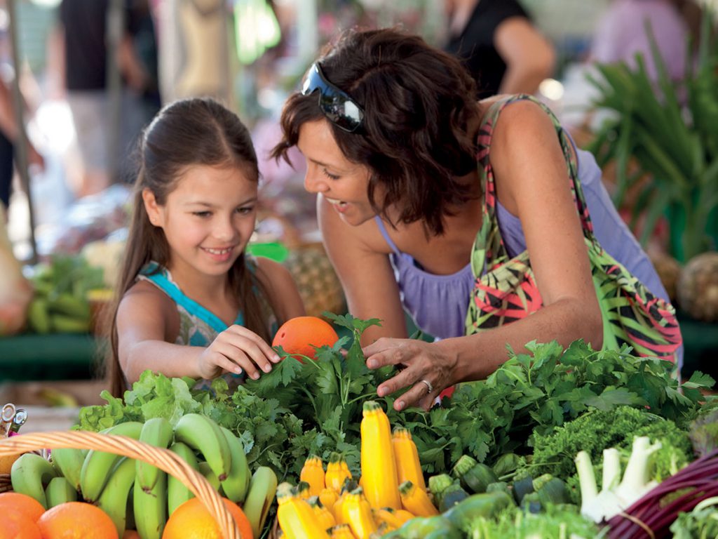 Palmwoods Land for Sale Buy House and Land Sunshine Coast