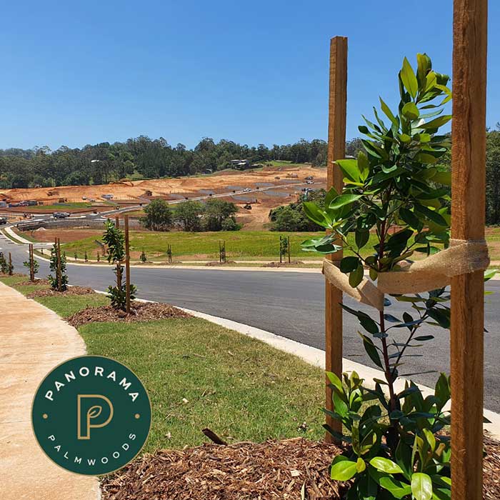 streetscaping palmwoods land for sale